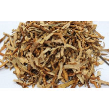 Drynaria Rhizome Extract Drynaria Root Extract